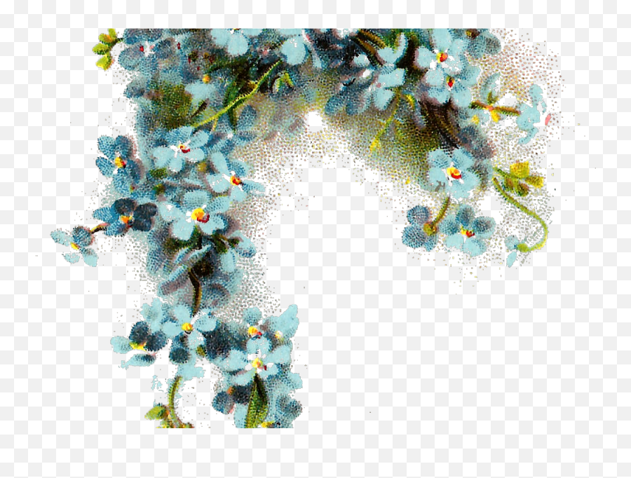 Png Flowers Background - Forget Me Not Flower Png Hd Png Picsart Png Flower Full Hd,Floral Background Png