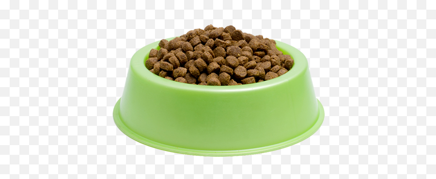 Dog Food Bowl Png - Dry And Wet Food For Cats,Dog Food Png