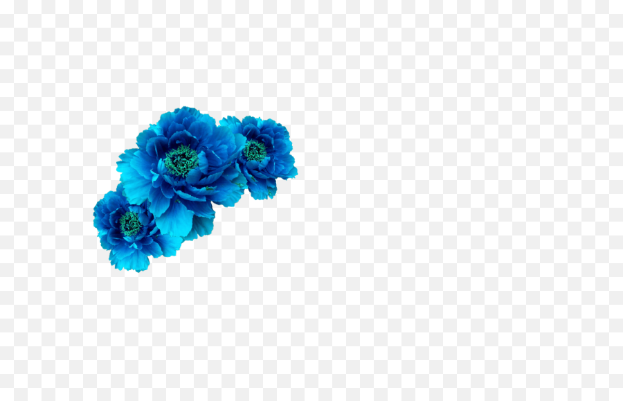 Wreath Aqua Transp Free Blue Flower - Blue Flowers Crown Png,Blue Flowers Png
