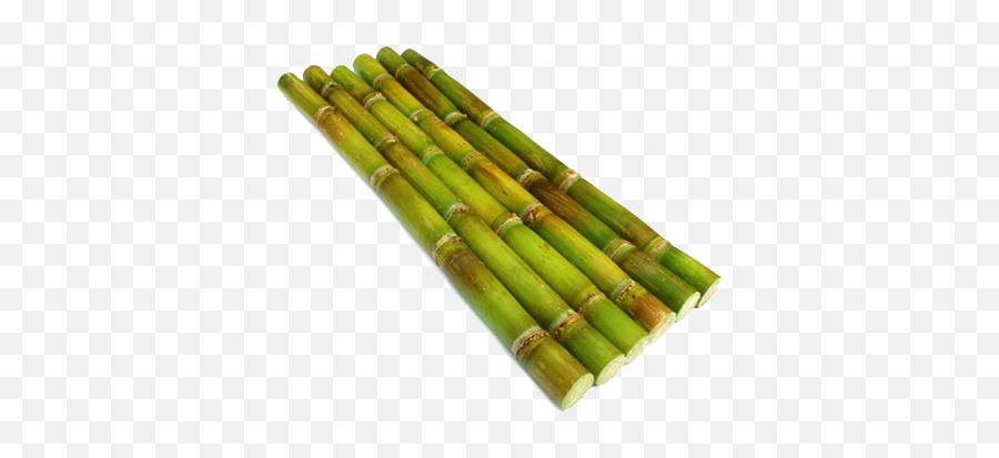Tubes From Sugarcane - Sugar Cane Transparent Background Png,Sugarcane Png