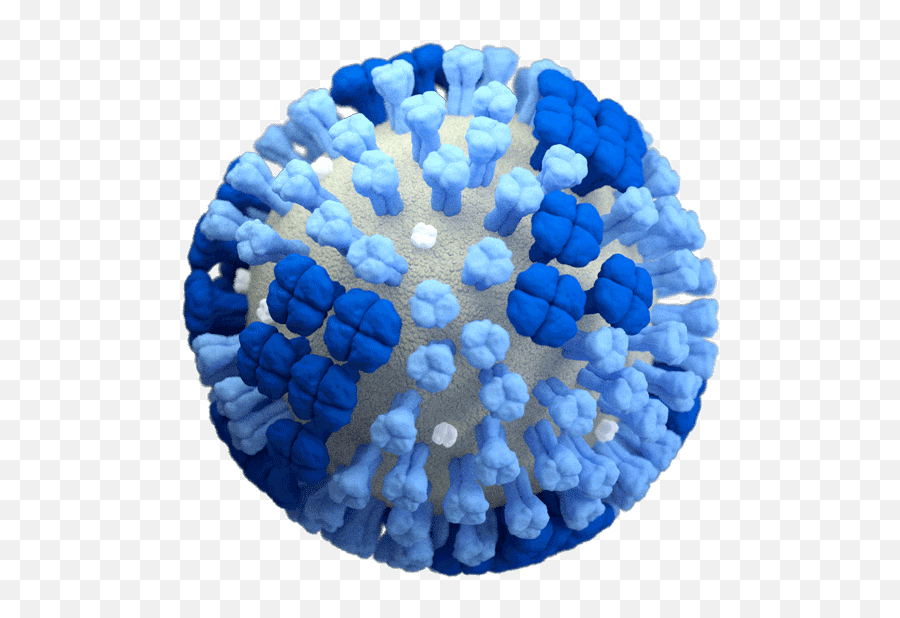 Images Of Influenza Viruses Cdc - Influenza Flu Png,Next Icon Jpg