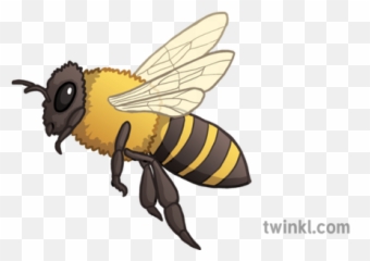 Free Transparent Bee Emoji Png Images Page 1 Pngaaa Com - emoji boss minion bee roblox