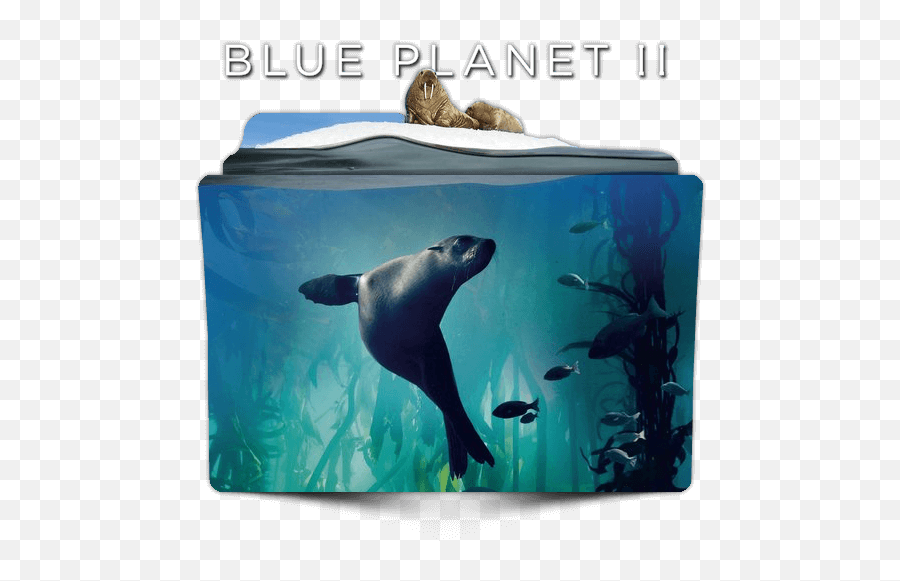 Blue Planet Ii Tv Series Folder Icon - Designbust Blue Planet Folder Icon Png,Lions Icon
