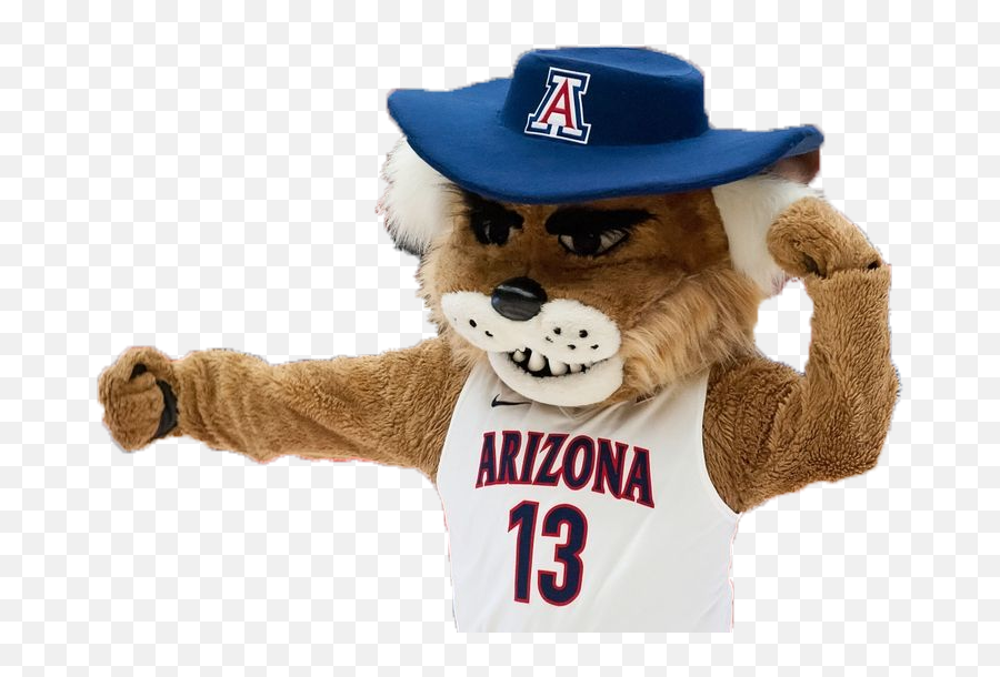 Download Global Wildcat Sports Series - University Of Arizona Wilbur Wildcat Transparent Png,Wildcat Icon