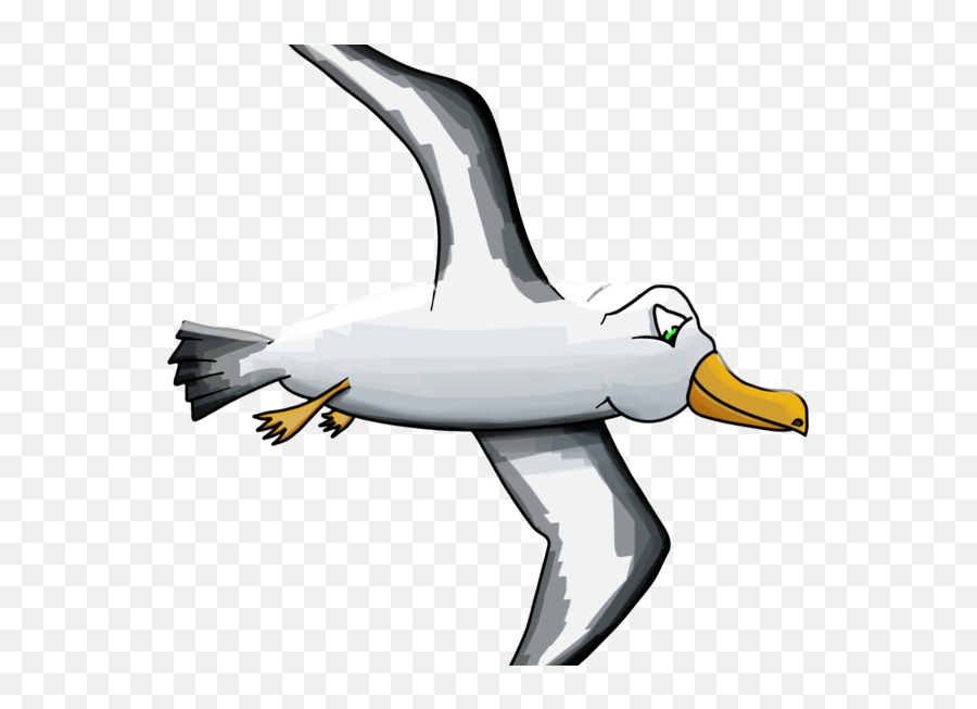 About The Event - Albatross Clipart Full Size Clipart Albatross Cartoon Png,Icon Of Transfiguration