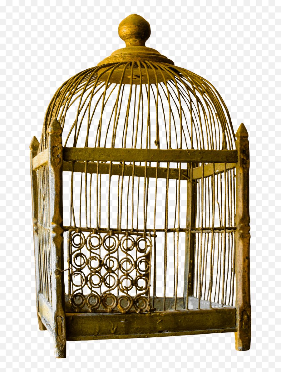 Bird Cage Transparent Png - Cat And A Bird Cage,Cage Transparent