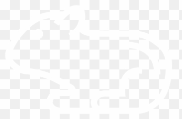 Breeding Hamsters - ZooEasy Muroids png