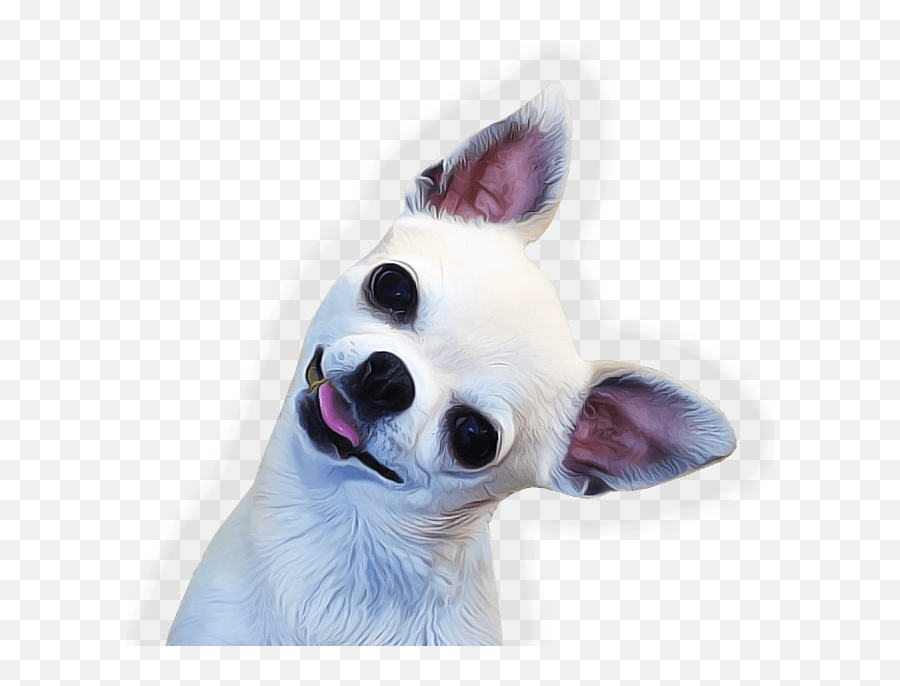 Dogs Transparent Png Images - Chihuahua Png,Dog Face Png