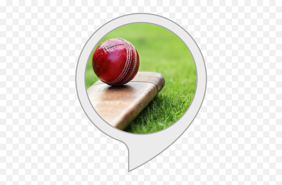 Amazoncom Cricket Bat Facts Alexa Skills - Body Soul And Spirit Png,Cricket Bat Png