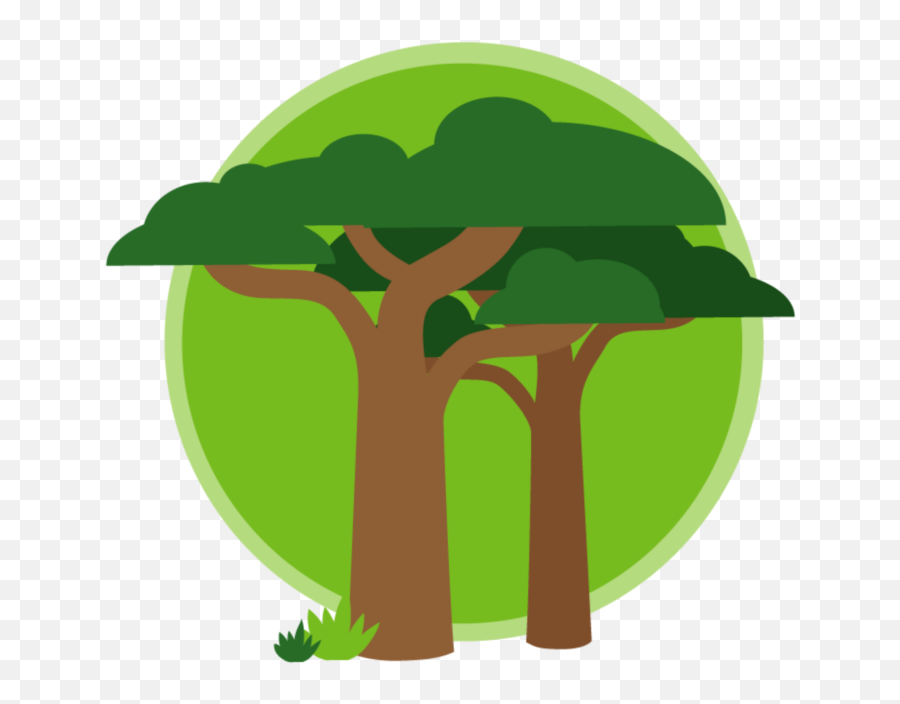 Cocoa Life - 2019 Snacking Made Right Report Tree Png,Progress Report Icon