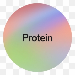 Protein Supplement Substack - Dot png