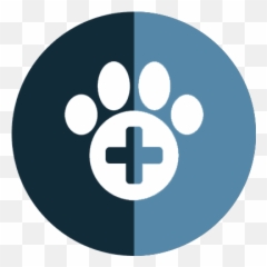 Cat Veterinarian Columbia Forest Acres Shandon The Png Facebook Icon For Print