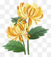Pin Transparent PNG