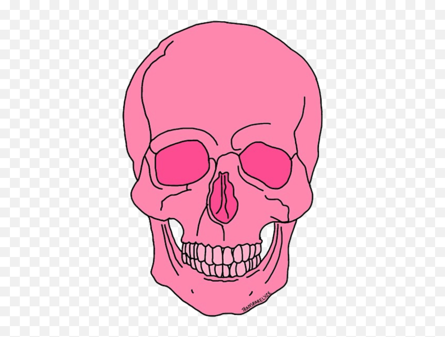 Download Skull Png Tumblr - Aesthetic Transparent Background Skull Png,Skull Transparent Background