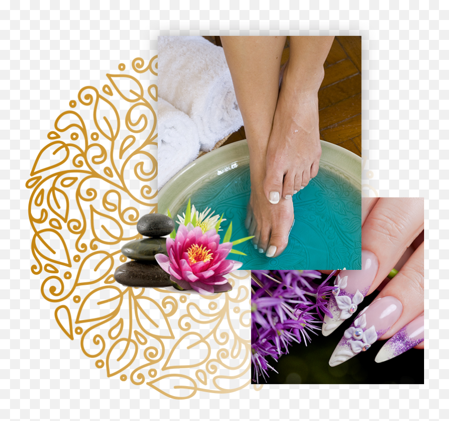 Download Hd Pro Nails Skin - Floral Design Png,Manicure Png