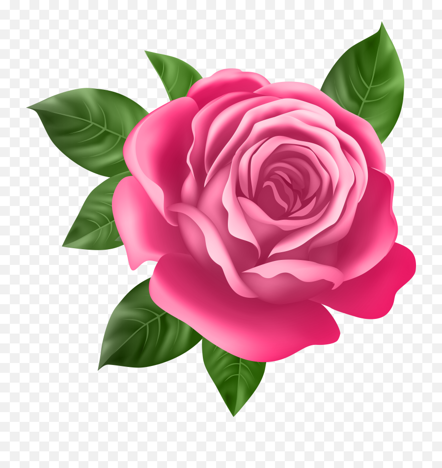 Pink Rose Transparent Png Clip Art - Best Rose Flower Full,Rose Transparent