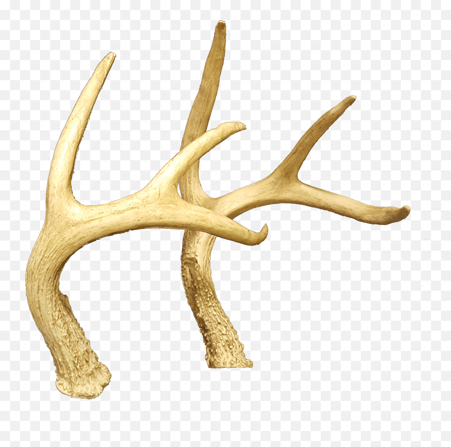 Download Hornsdeer Antler Png Image With No Background - Reindeer,Deer Antlers Png
