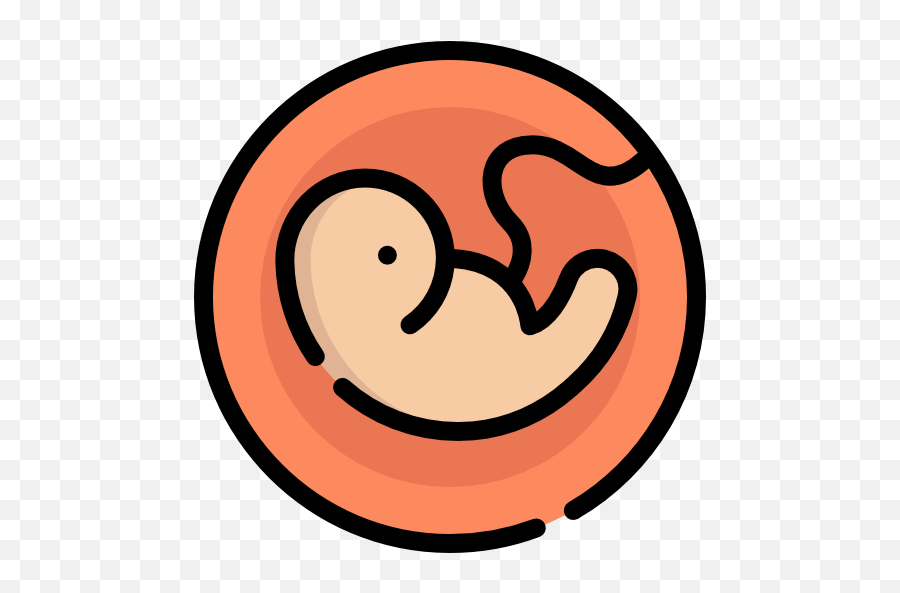 Pregnancy - Free Medical Icons Fetus Icon Png,Fetus Png