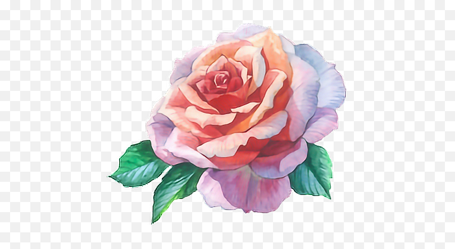 Watercolour Paint Watercolor Flower - Watercolor Painting Png,Watercolor Roses Png