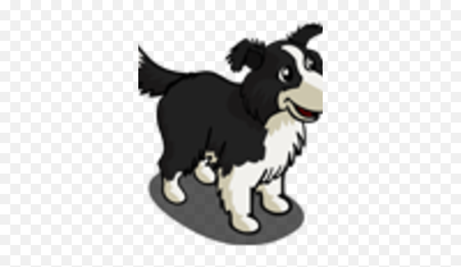 Border Collie - Cartoon Png,Border Collie Png