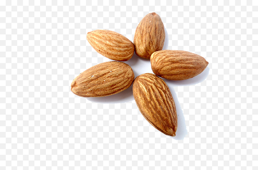 Almond Milk Nut Peel Eating - Peeled Almonds Png Download Almond Nut Paint,Nuts Png