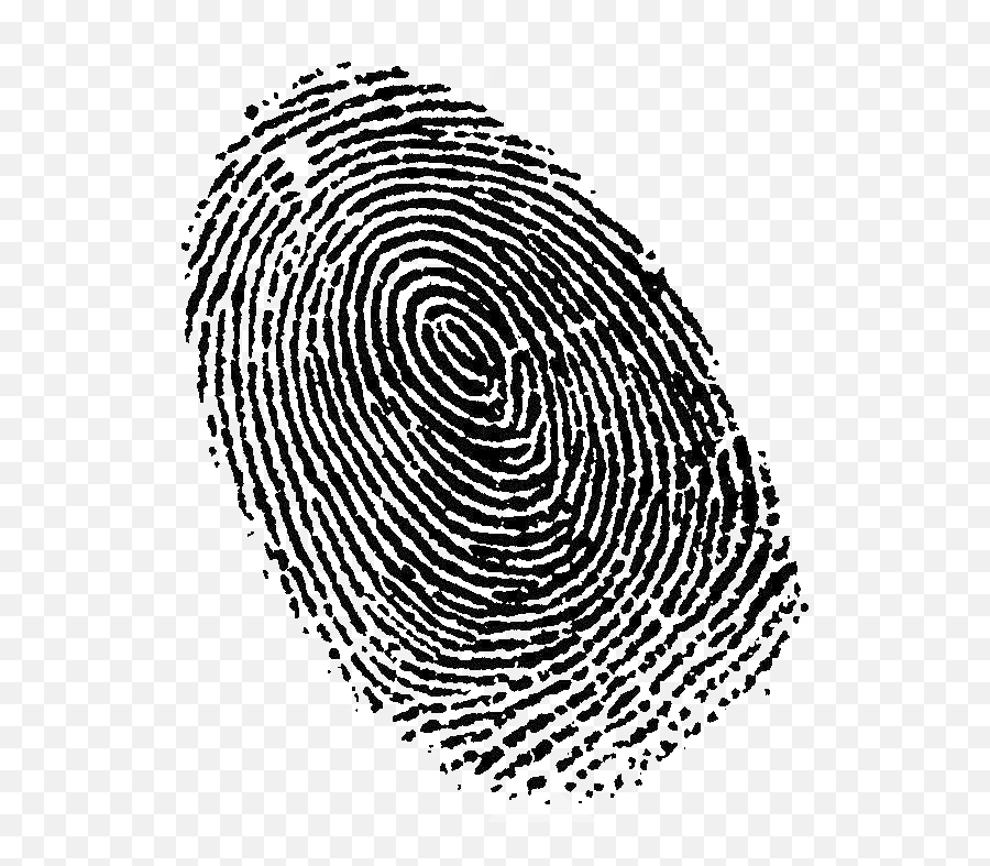 Fingerprint Png Transparent Hd Images - Fingerprint Png,Finger Print Png