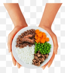 Alimente Esta Ideia - Doação De Alimentos Png,Comida Png