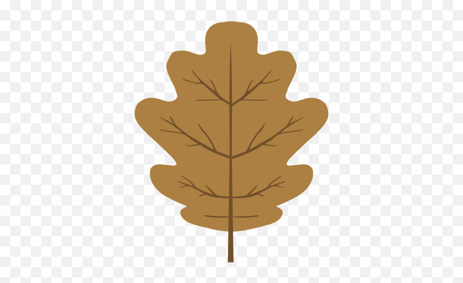 Brown Autumn Oak Leaf - Transparent Png U0026 Svg Vector File Illustration,Falling Leaves Transparent Background