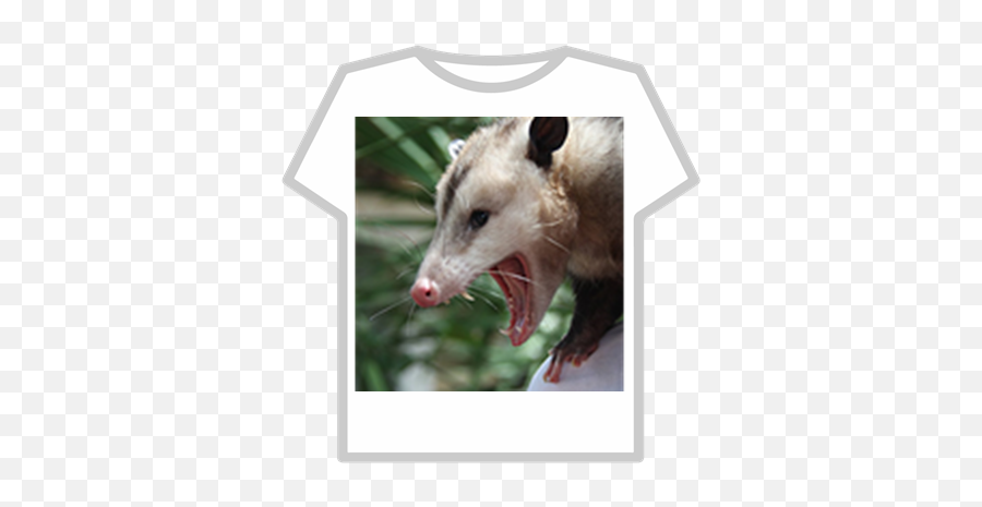 Angry Opossum - Roblox Green Roblox Hoodie T Shirt Png,Opossum Png