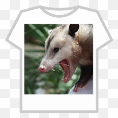 Angry Opossum - Roblox Green Roblox Hoodie T Shirt Png,Opossum Png