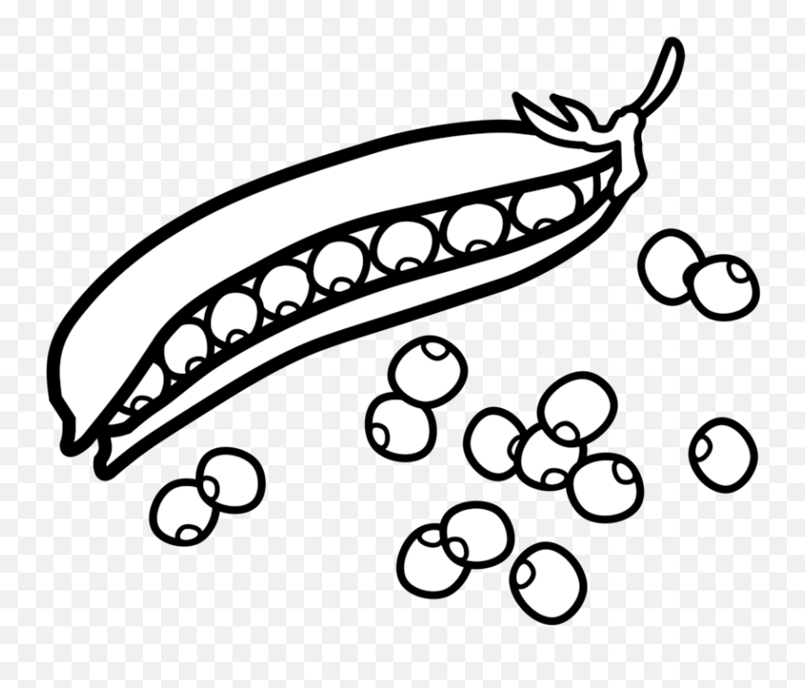 Line Artplantdrawing Png Clipart - Royalty Free Svg Png Green Peas Clipart Black And White,Pea Png