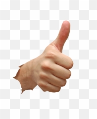 Thumbs Up And Down - Hand Png Download Original