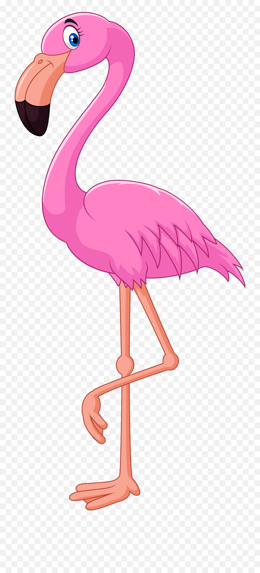 Confused Minister Flamingo Photos Png Transparent Background - Clip Art Flamingo Png,Confused Transparent