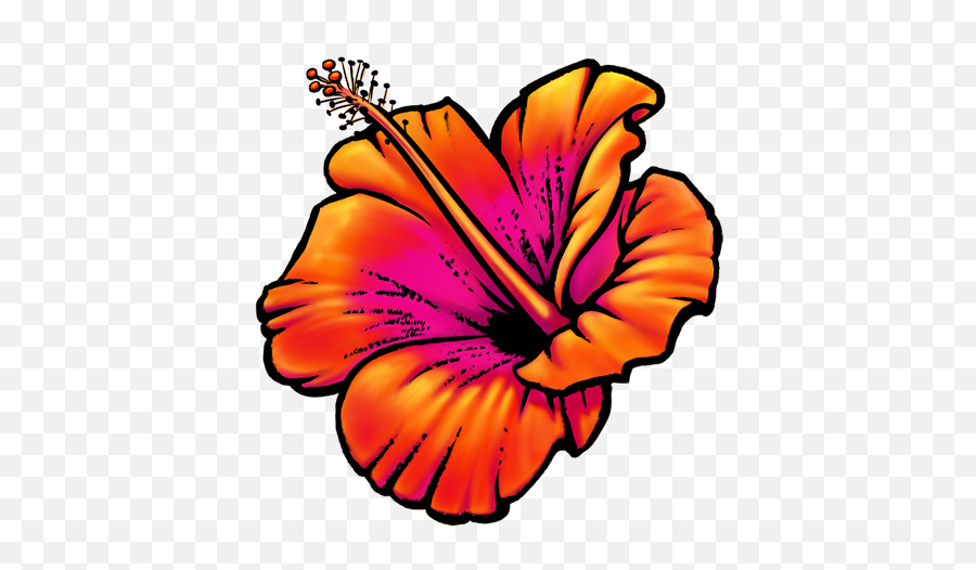 Sarah Burchard Png Hawaii Flower Icon