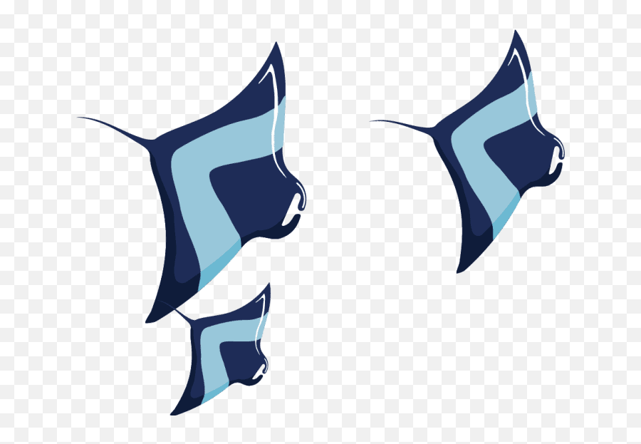Exhibits - Fuse 2021 Fish Png,Overwatch Squid Icon
