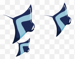 Exhibits - Fuse 2021 Fish png