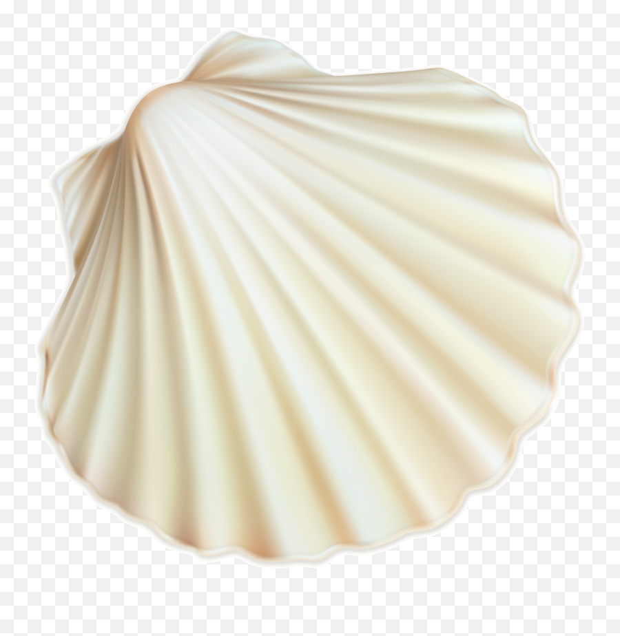 Seashell Restaurant 6 Trust Spiral - White Sea Shells Png,Sea Shell Icon