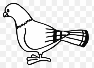 Paloma Ave Animales Ciudad Rayas De Pie Pigeon - Clip Art Pigeon Clip Art Png,Paloma Png