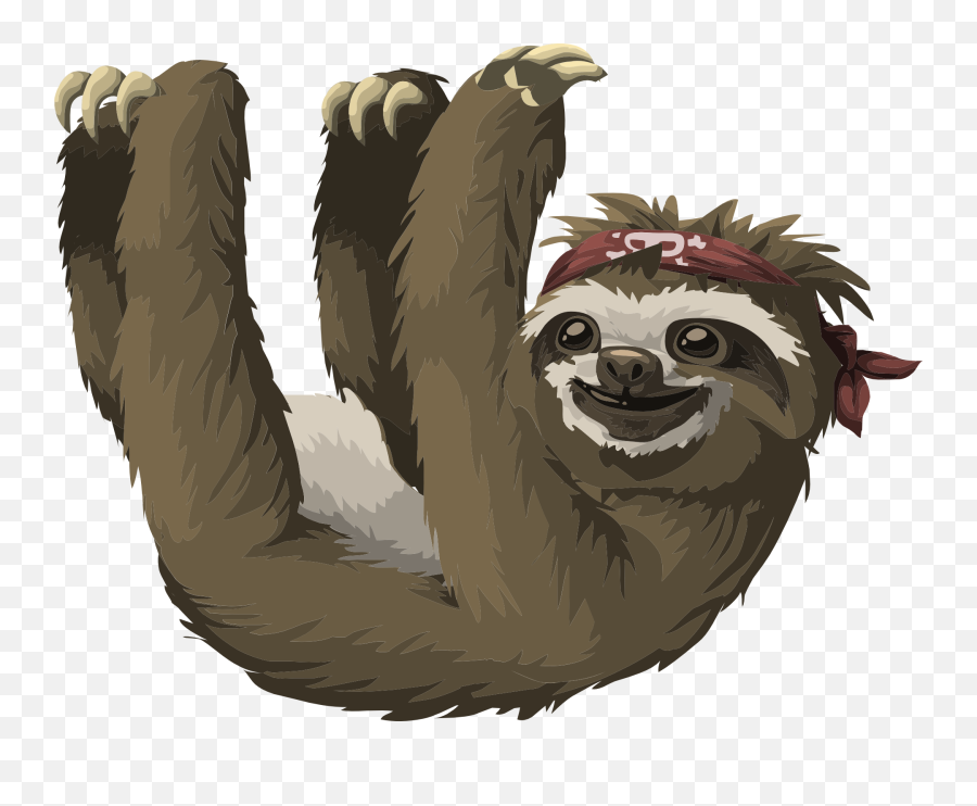 Sloth Cartoon Transparent Png Clipart - Sloth Hanging Png,Sloth Png