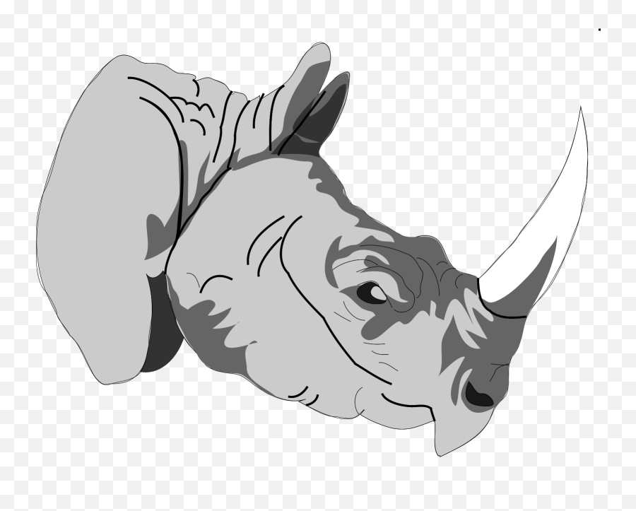 Rhinoceros 3d Animal Png - One Horn Rhino Logo,Rhino Png
