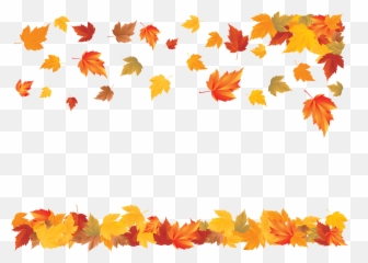 Download Hd A Carpet Of Falling Leaves - National Healthy Skin Month png
