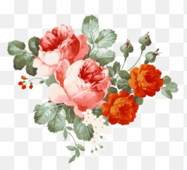 Flower Flowers Flor Flores Png Edit - Transparent Background Flowers Png,Flores Png