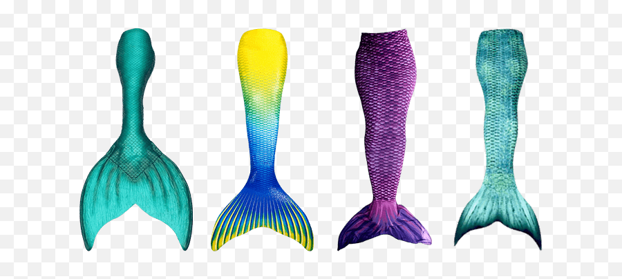 Best Mermaid Tails For Swimming Top 10 - Tights Png,Mermaid Tail Png