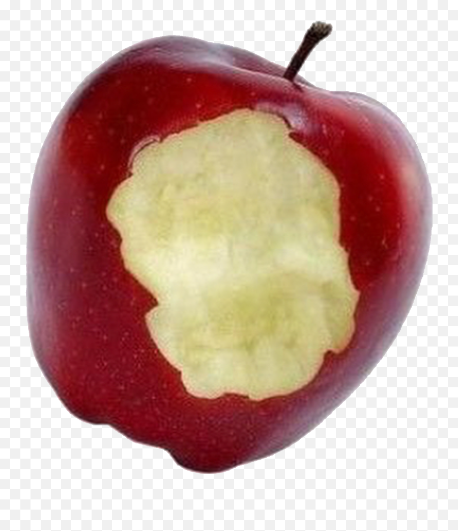 Apple Fruit - Bitten Apple Png,Bitten Apple Png