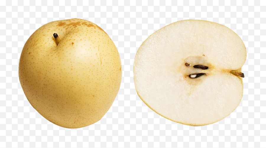 Download Free Png Asian Pear Images Transparent - Nashi Chinese Pear,Pear Png