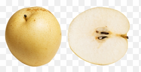 Download Free Png Asian Pear Images Transparent - Nashi Chinese Pear,Pear Png
