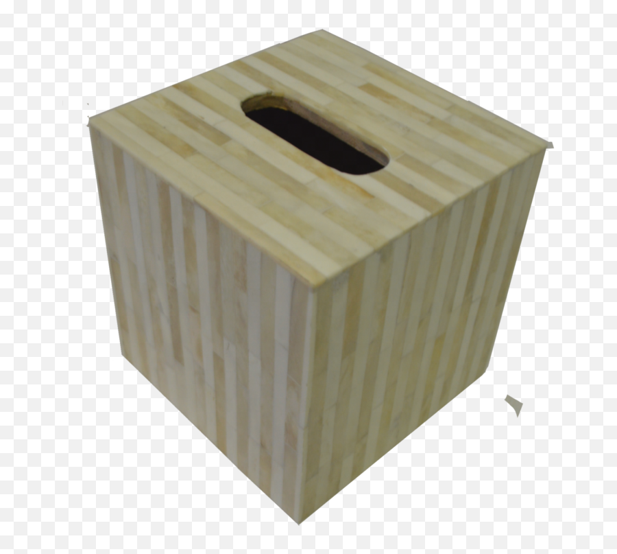 Bone Tissue Box Stilo - Plywood Png,Tissue Box Png