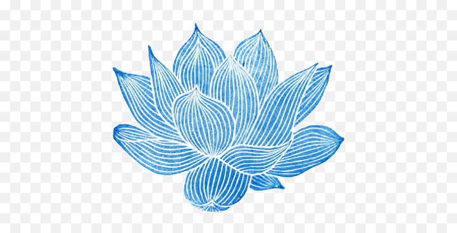 Best Transparent Blue Background Pattern - Lotus Lotus Flower Transparent Png,Lotus Transparent Background