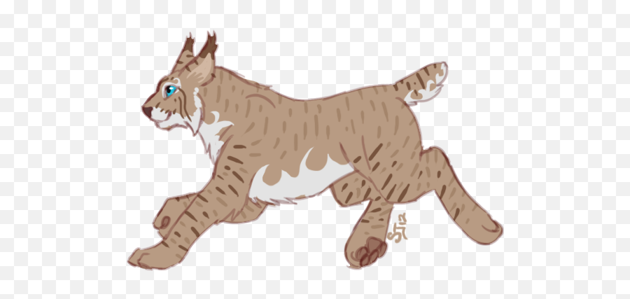 E2406387291 Images New Lynx - Canada Lynx Cartoon Transparent Png,Lynx Png