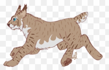 E2406387291 Images New Lynx - Canada Lynx Cartoon Transparent Png,Lynx Png